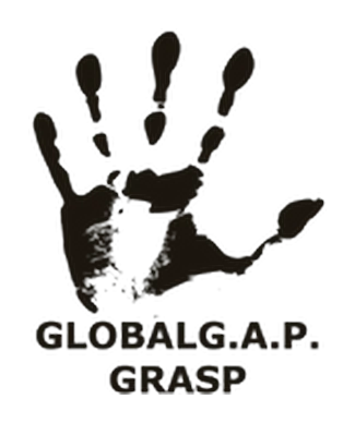 GlobalG.A.P. GRASP social practice certification logo