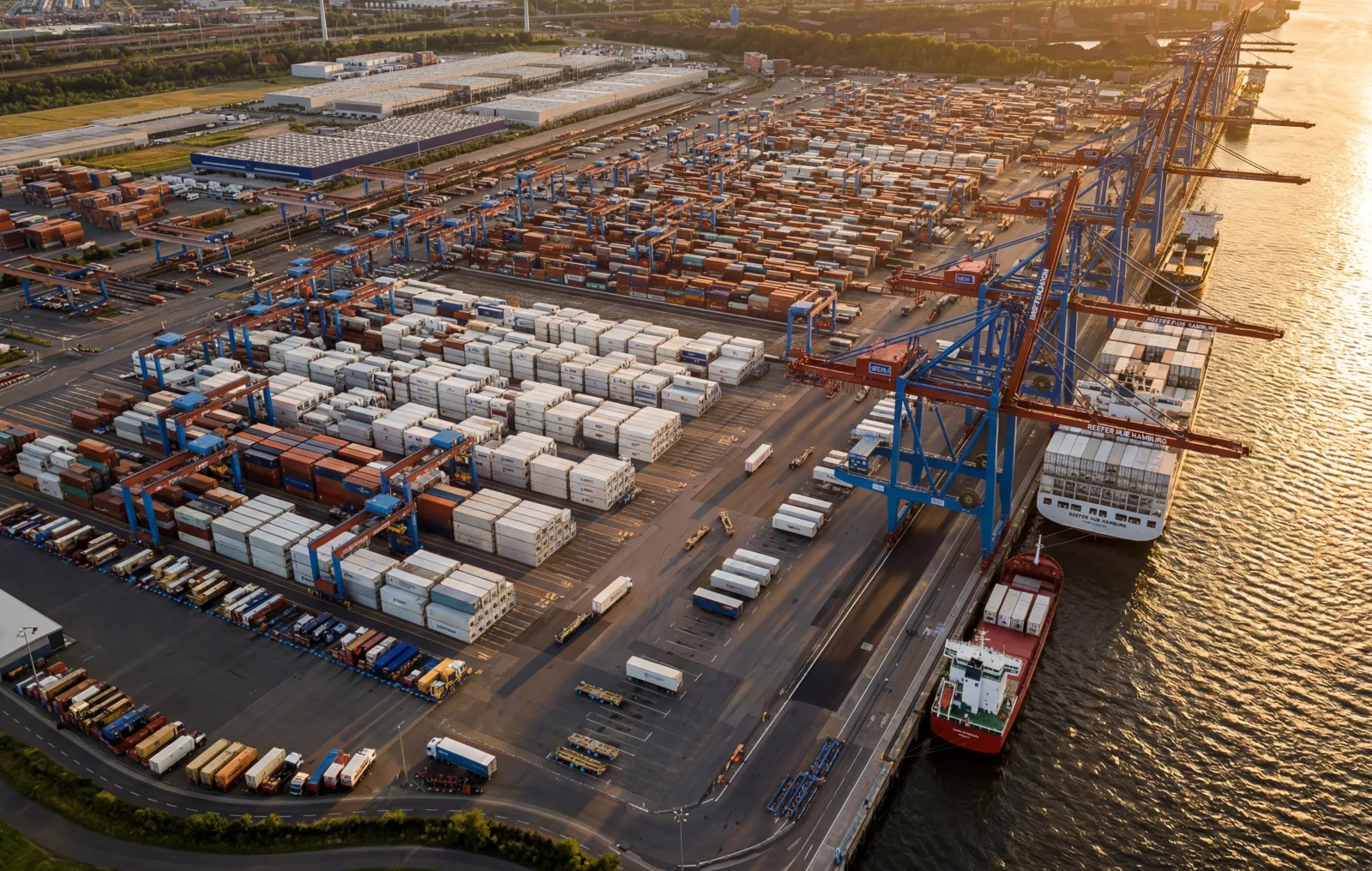 Egyptian produce to Germany — Hamburg reefer container terminal