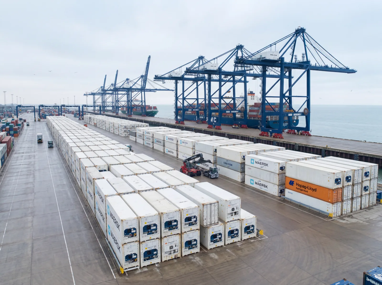 Egyptian produce to UK — Felixstowe reefer container terminal