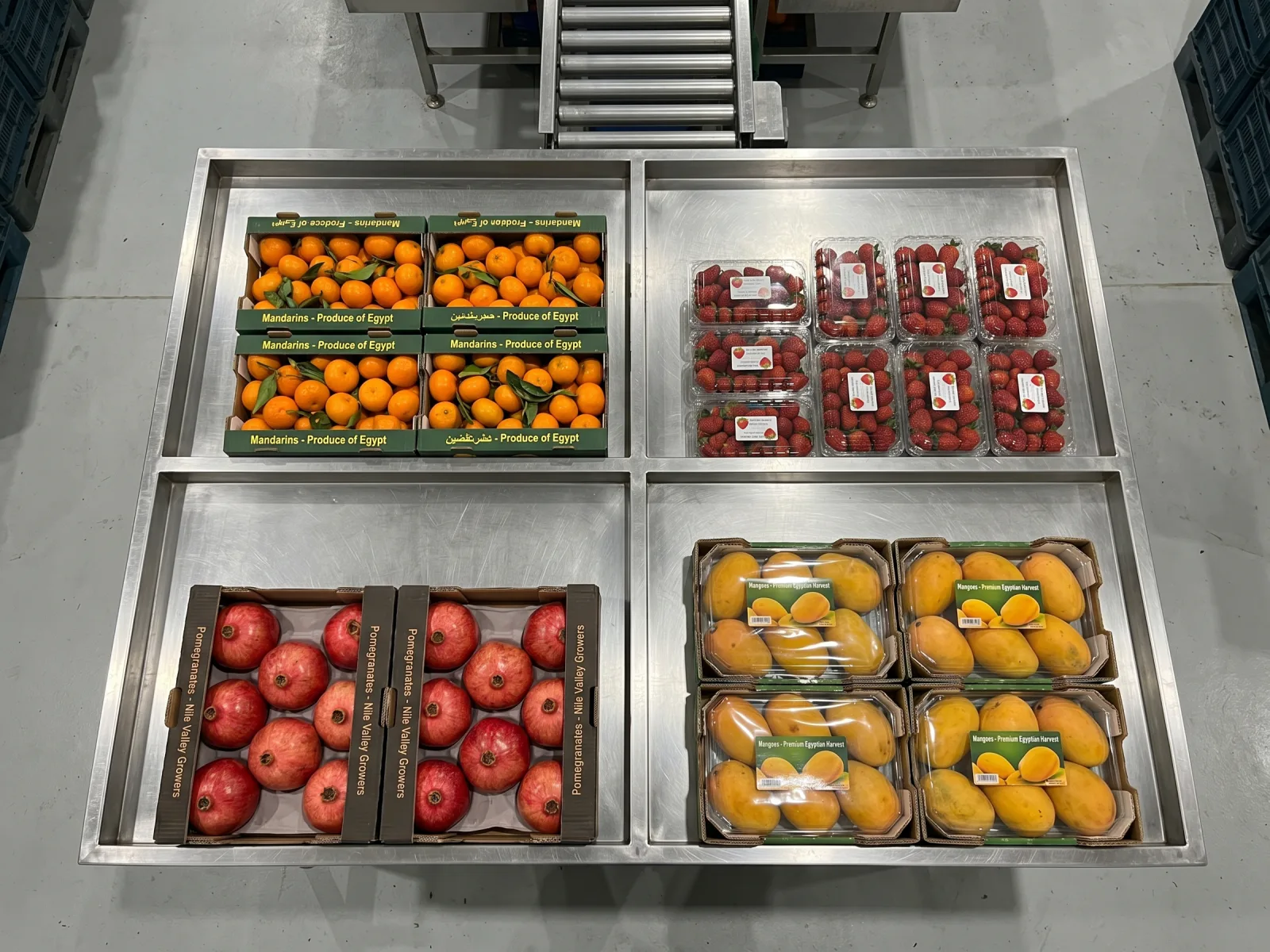 Egyptian seasonal export selection on a packhouse inspection table